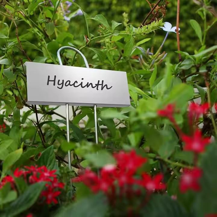 Weatherproof Metal Plant Label for Garden and Outdoor Plant Identification
