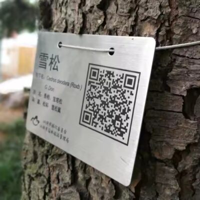 Custom weatherproof metal tree QR code label used for long-term plant ID in parks