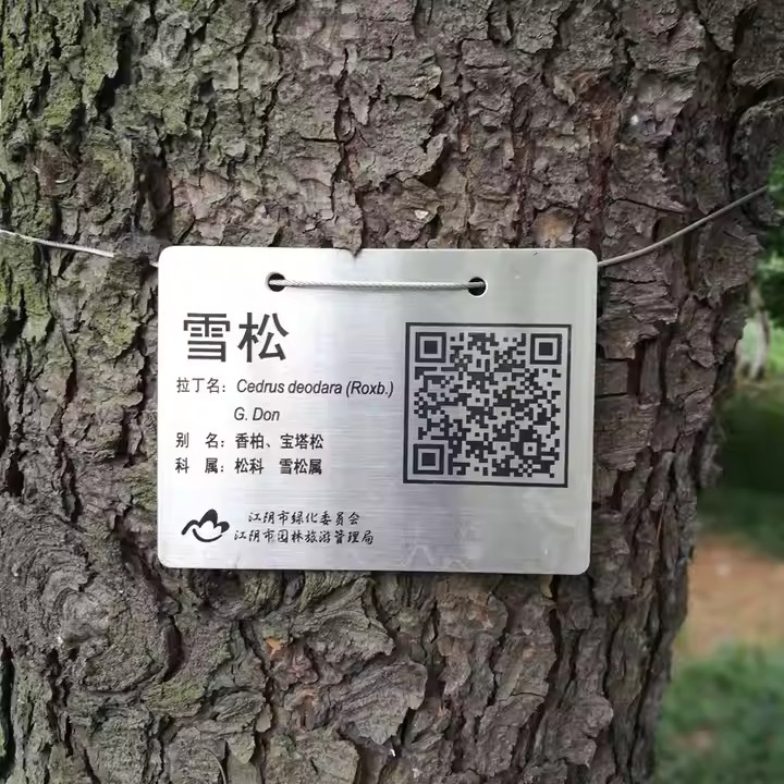 Custom weatherproof metal tree QR code label used for long-term plant ID in parks